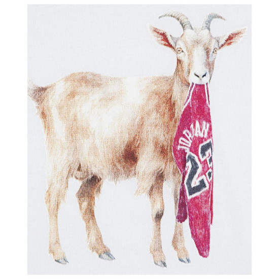 Jordan Παιδική κοντομάνικη μπλούζα Flt Goat Crew Jordan Παιδική κοντομάνικη μπλούζα Flt Goat Crew